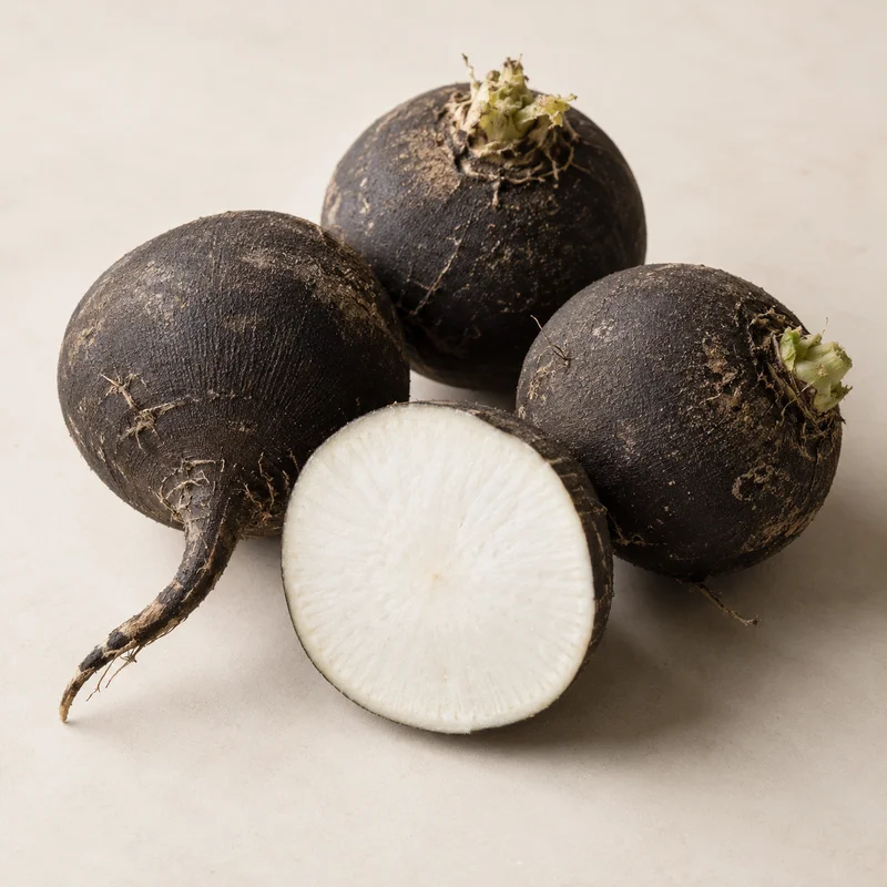 Black Spanish Radish