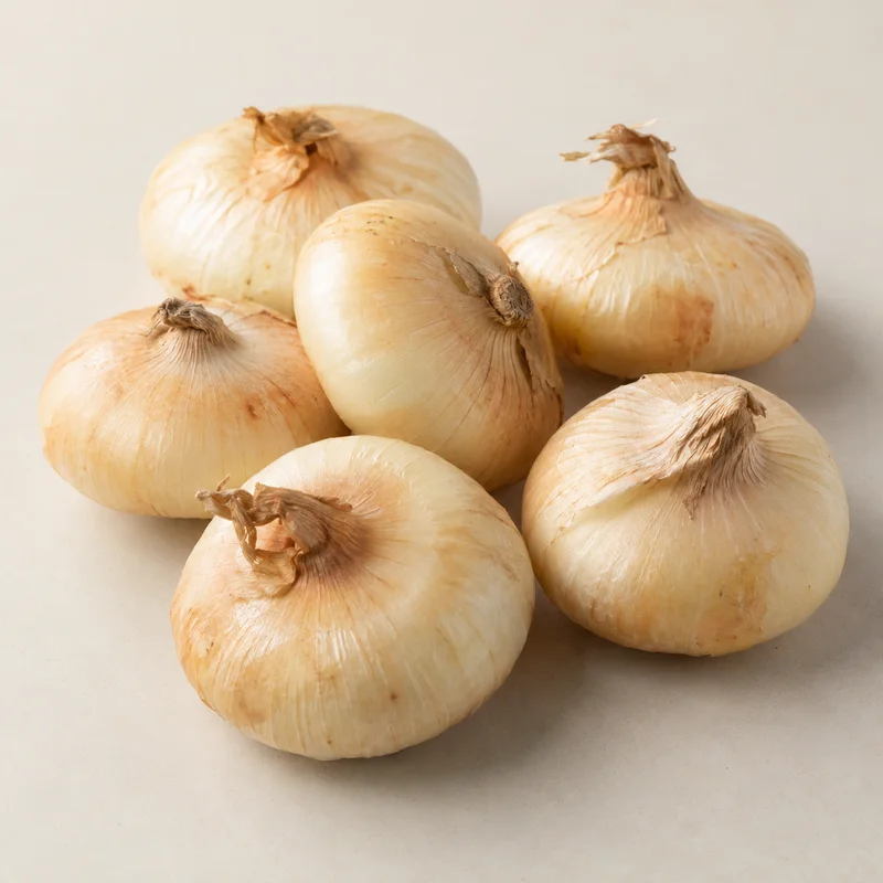 Cipollini Onion