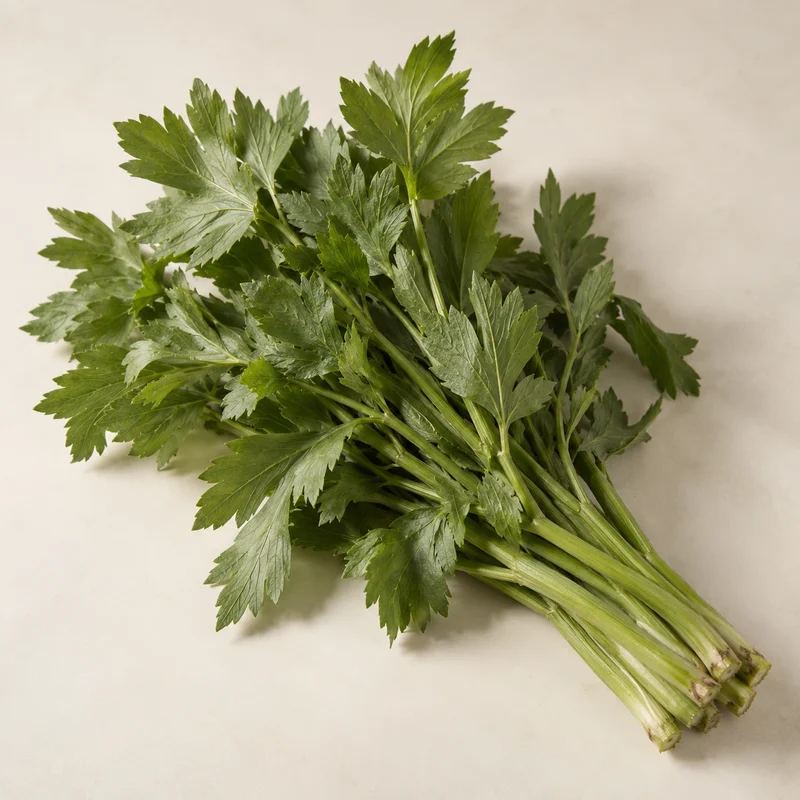 Lovage