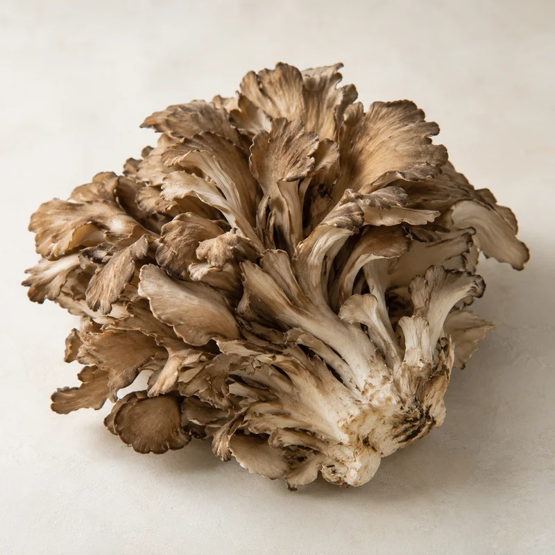 Maitake