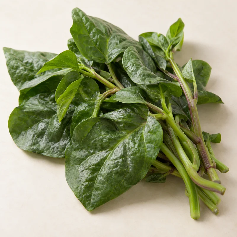 Malabar Spinach