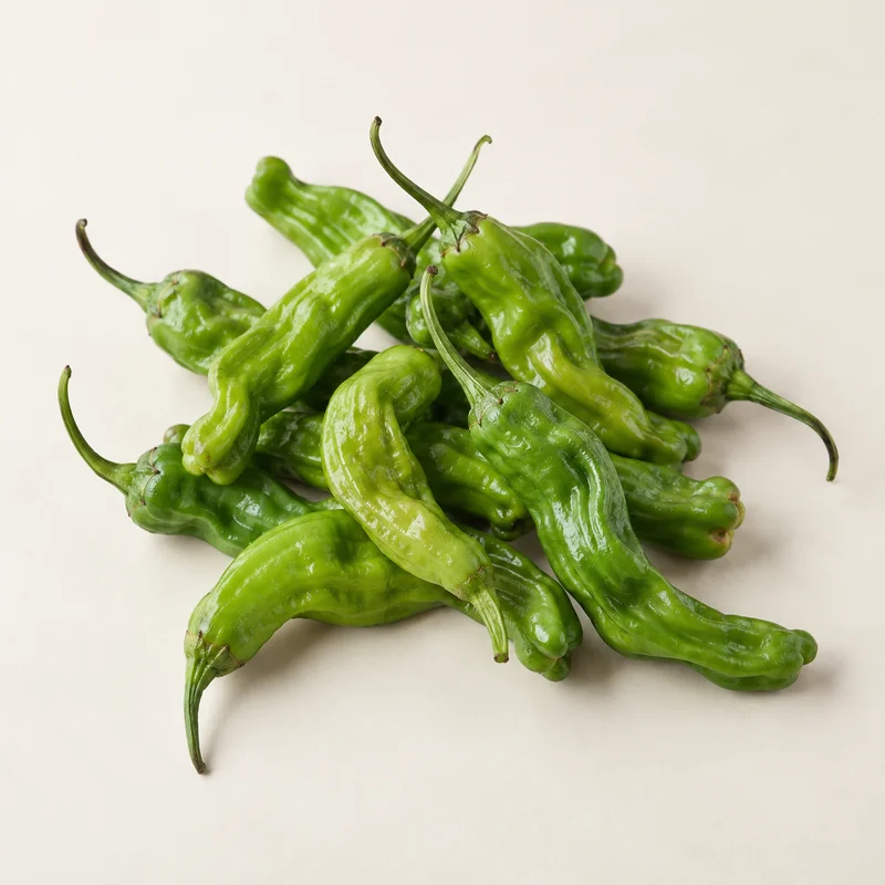 Shishito Pepper