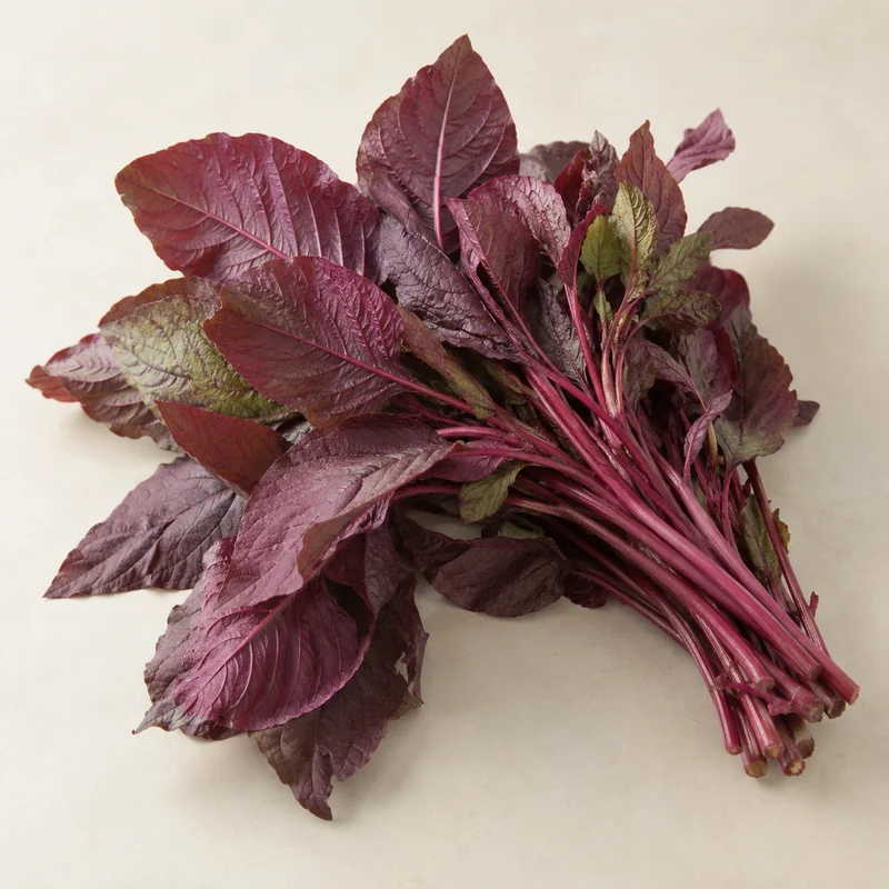 Red Amaranth