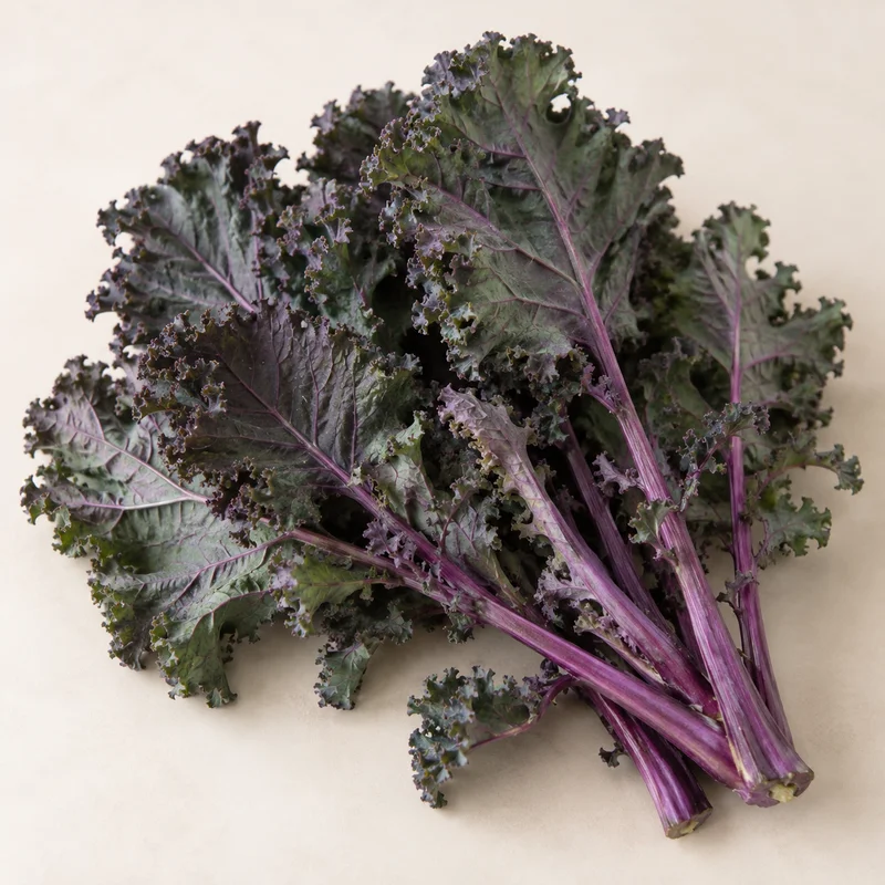 Red Russian Kale