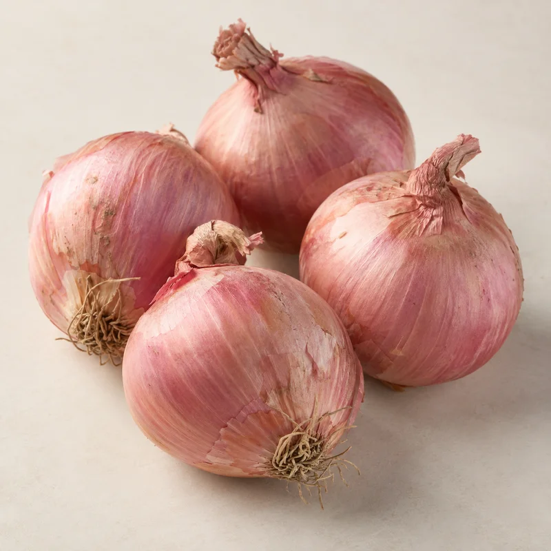 Roscoff Onion