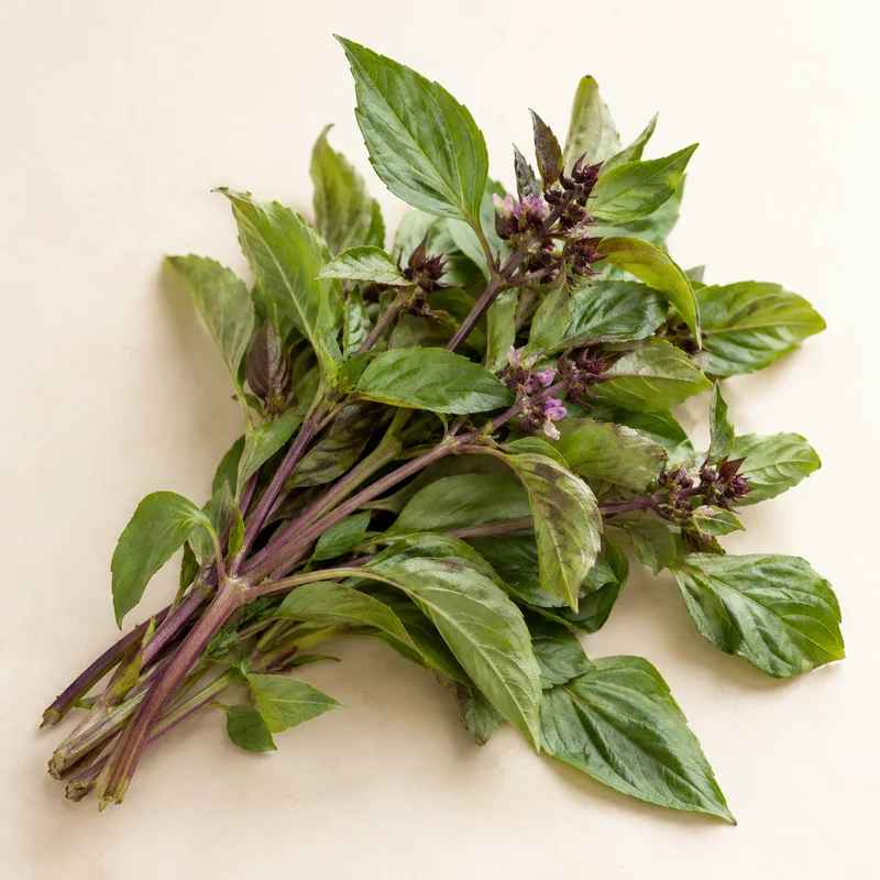 Thai Basil