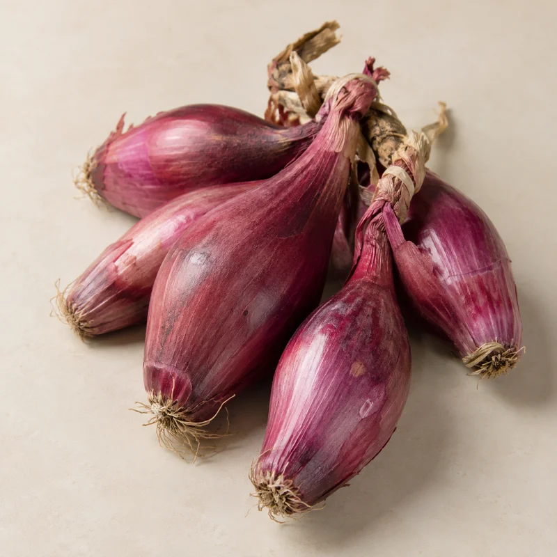 Tropea Onion