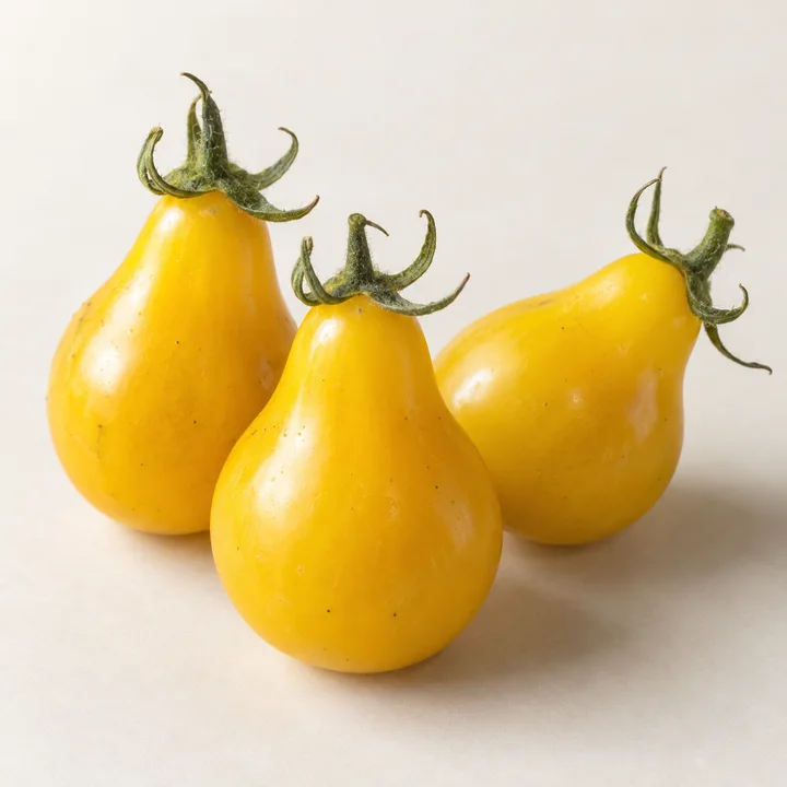 Yellow Pear tomato variety