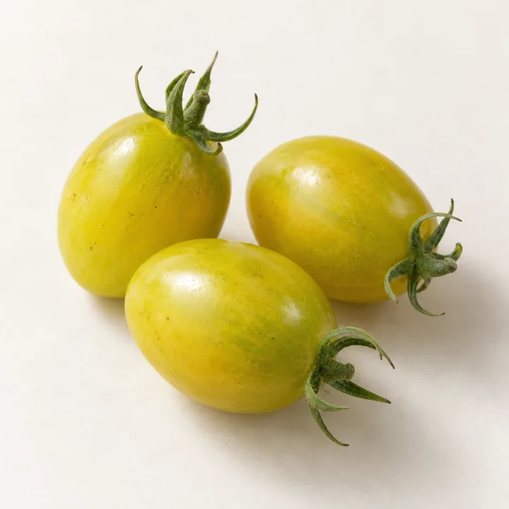 Green Grape tomato illustration