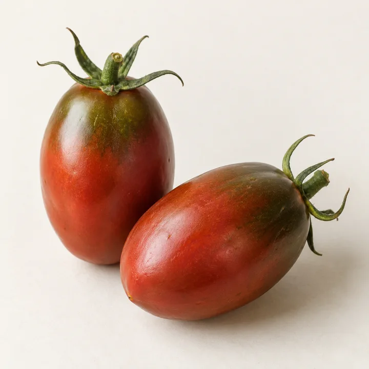Black Plum tomato illustration