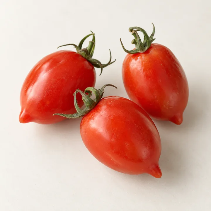 Principe Borghese tomato illustration