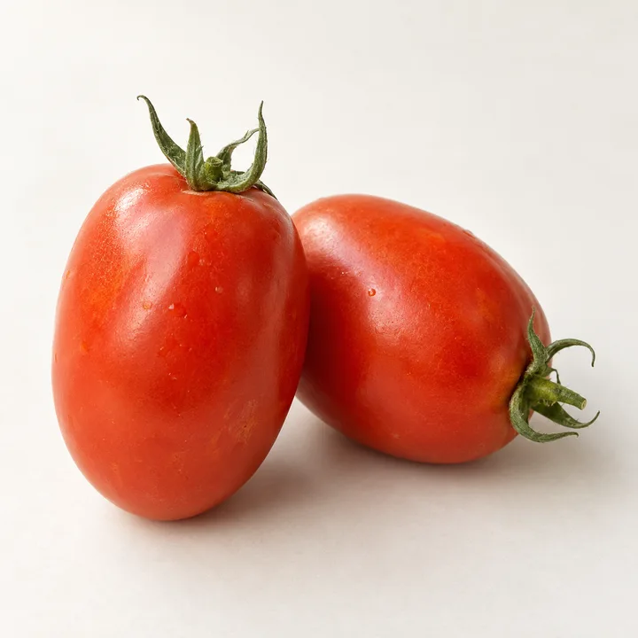 Roma VF tomato illustration