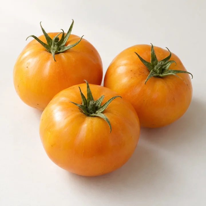 Jaune Flamme tomato illustration